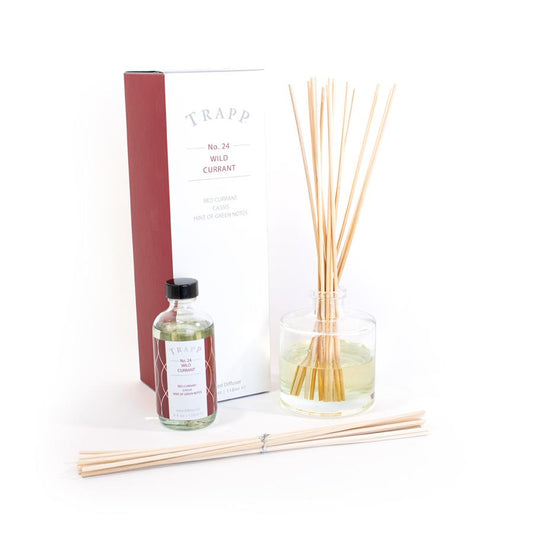 Kit difusor de grosella silvestre n.º 24, 4 oz